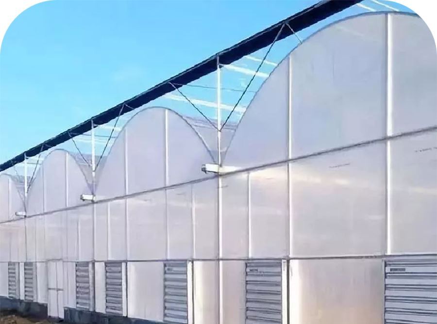 greenhouse plastic home depot made in china