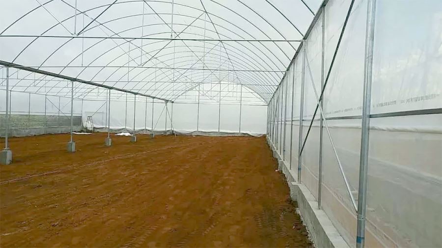 commercial greenhouse plastic made in china