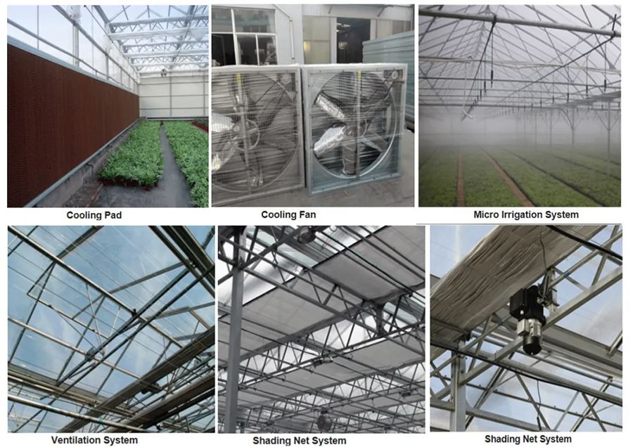 china shade house greenhouse