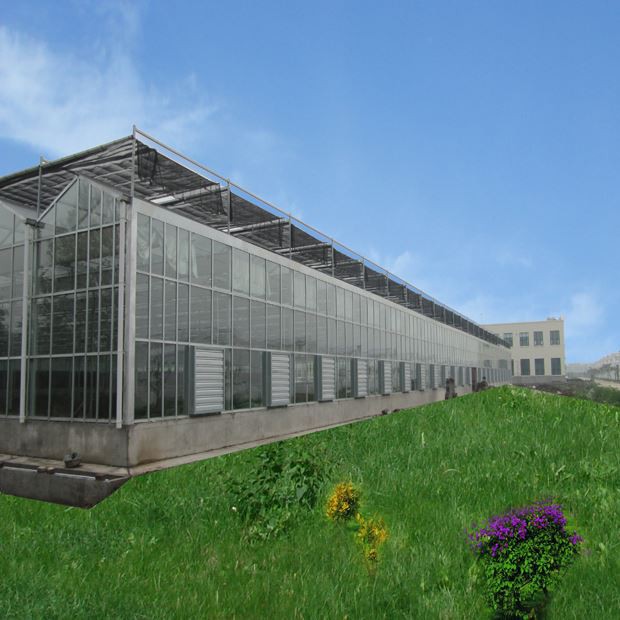 Agricultural Glass Greenhouse