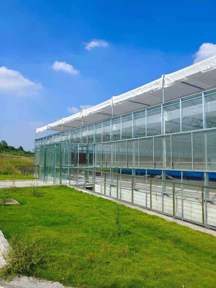 Glass Greenhouse Glass Greenhouse