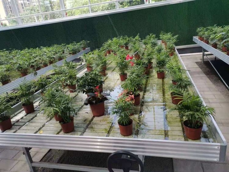 Glass Greenhouses Glass Greenhouses