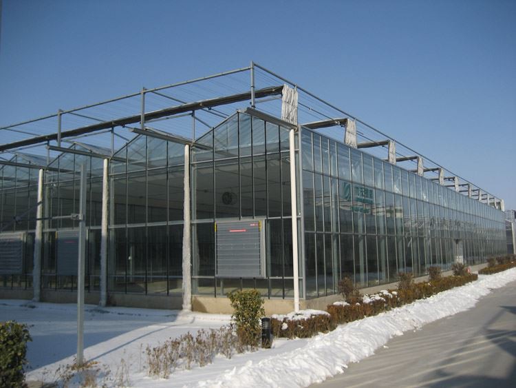 How to repair greenhouses