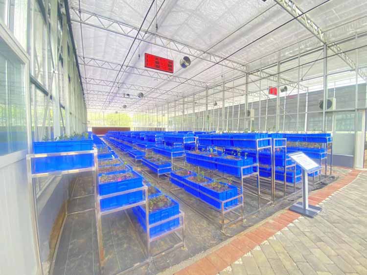 _20220721135537 _20220721135537