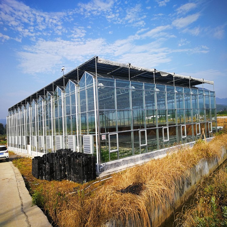 High-tech agricultural equipment turns winter into spring in greenhouses High-tech agricultural equipment turns winter into spring in greenhouses
