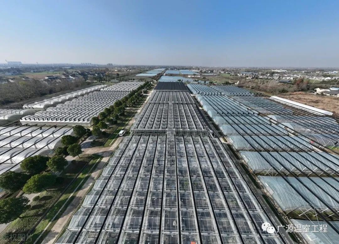 info-1080-778 info-1080-778