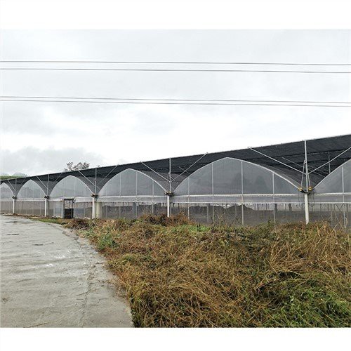 Cubiertas de invernadero de plástico de Homebase