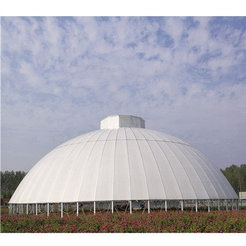 Invernadero de cúpula geodésica grande